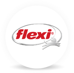 flexi-Bogdahn International